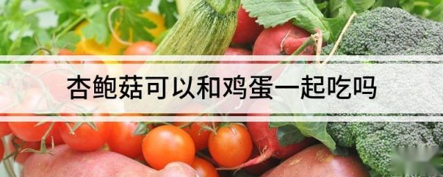 杏鲍菇可以和鸡蛋一起吃吗