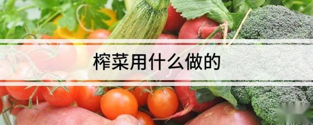 榨菜用什么做的