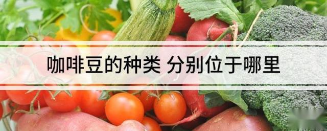 咖啡豆的种类 分别位于哪里