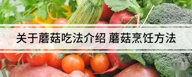 关于蘑菇吃法介绍 蘑菇烹饪方法