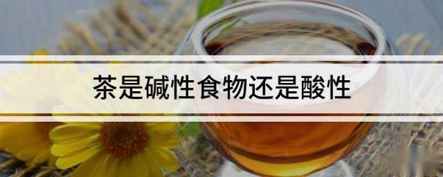 茶是碱性食物还是酸性