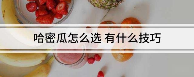 哈密瓜怎么选 有什么技巧