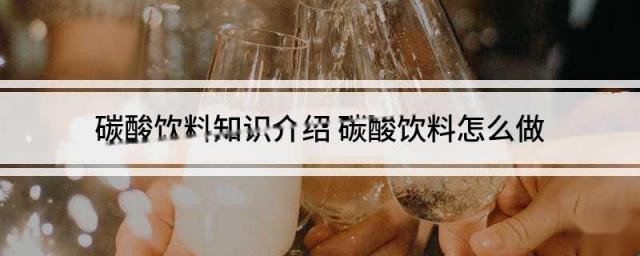 碳酸饮料知识介绍 碳酸饮料怎么做