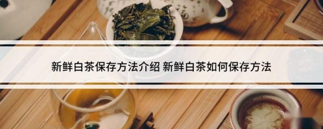 新鲜白茶保存方法介绍 新鲜白茶如何保存方法