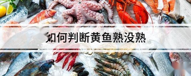 如何判断黄鱼熟没熟